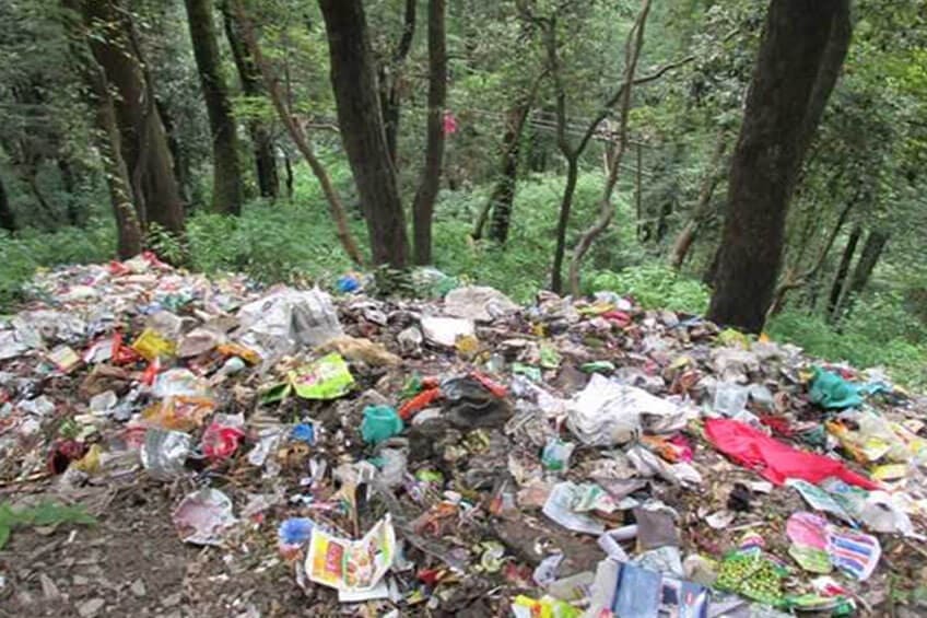 FOREST CLEANING - GARUMARA NATIONAL PARK, WITH FOREST DEPT. WEST BENGAL